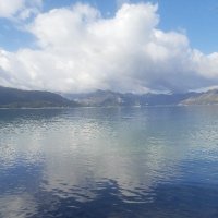 Cem (@cnyt02007821) 's Twitter Profile