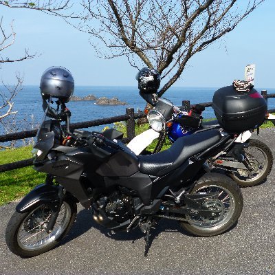 8_mouyan's profile picture. 