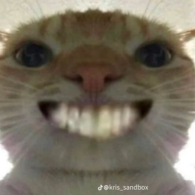sa21547's profile picture.