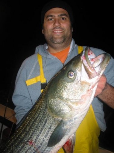 mplotsker's profile picture. 