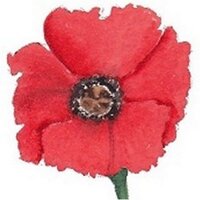 Poppy Patchwork (@poppypatchwork) 's Twitter Profile