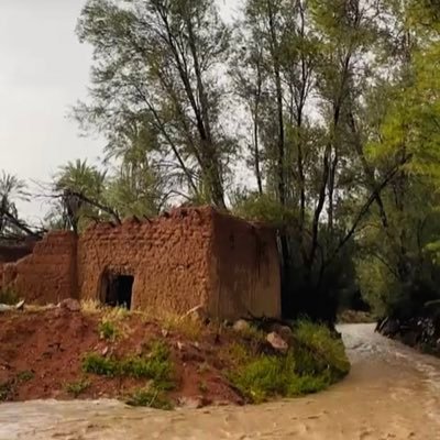 M0HMD10's profile picture. 