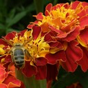 Helen Ruby - @HelenRuby8 - Twitter