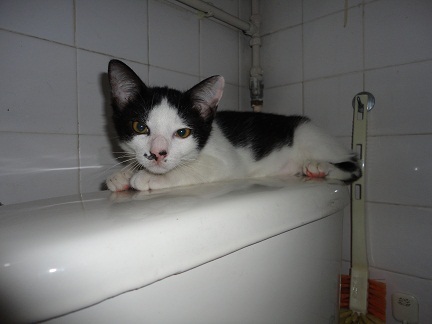 renaayyy's profile picture. life's upside down.