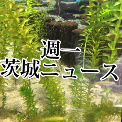 皆さんの何気ない投稿を茨城県に関する情報をリツイート編集していきたいと思います