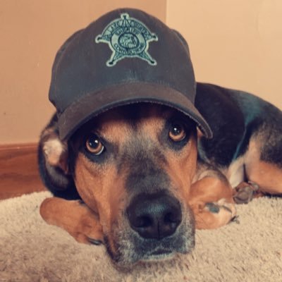 Chaser_31's profile picture. https://t.co/JFvrlGJKEt. @PurdueCal