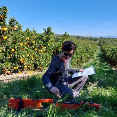 Amartigi1's profile picture. Dra. Ingeniera #agrónoma de @IviaRiegos. 
Sin transferencia, no hay ciencia 💧 #TransferenciaReal #Riego