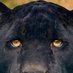 Zahid Ali (@zahidal68756233) Twitter profile photo Zahid Ali (@zahidal68756233) Twitter profile photo