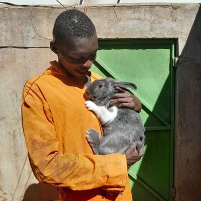 SoloSita899065's profile picture. 