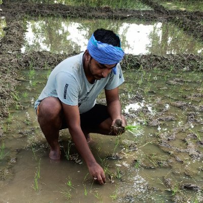 MBA: Food & Agri-business Management
Alum: @IIMAhmedabad, @shuats_edu
Passionate about driving growth in Farming, Agri-business & Sustainable Agriculture.🇳🇵