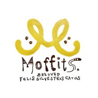 Moffits : 黒猫と絵描き(@mof_fits) 's Twitter Profile Photo