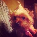 Abby Gunderson - @itsmeAbbyGee - Twitter