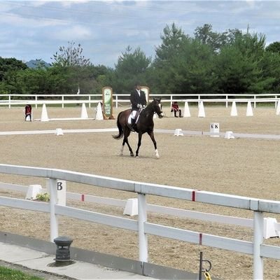 🐴龍咲🐴さんのプロフィール画像