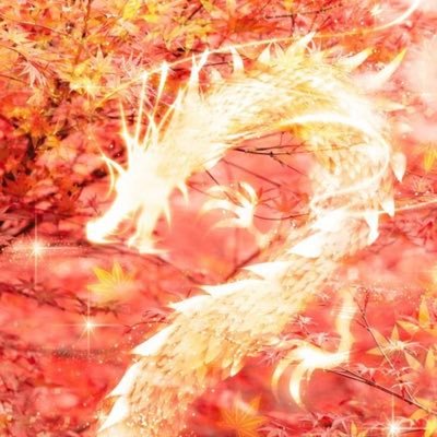 r6275t's profile picture. 日本大好き。 政治的なことも時々徒然と思ったこと呟いたりリツイートします。ワンピースとF1とスターウォーズも大好き。