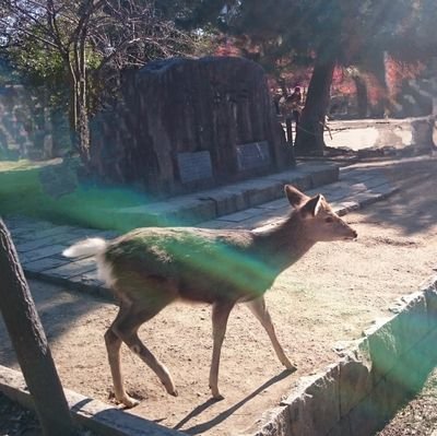 コントしてるピン芸人です。
2022年スクールJCA31期
2023年タイタンの学校6期
楽天イーグルスファンでもある