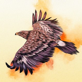 musicopatio's profile picture. Festival Music Ô Patio
🦅 1ère édition du 14 au 16 juillet à Brezolles (28)
----------
Festival labellisé Réseau Spedidam
Artwork : Guillaume Saix - WebmyArt///