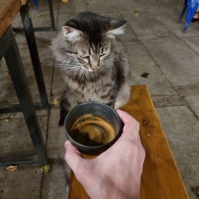 скуф