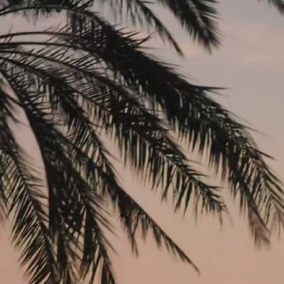 ddxx360's profile picture. ﻻ إله إﻻ الله