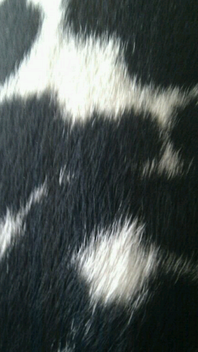 dolunn's profile picture. 