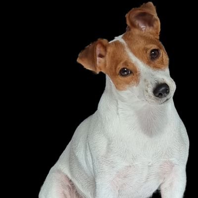 B00m3rBrizol's profile picture. 