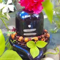 Shivay (@__shivay_) 's Twitter Profile