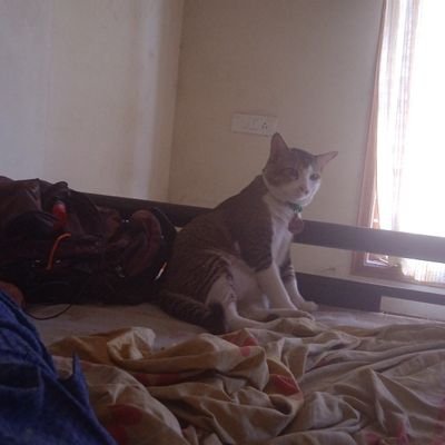 nelly7892's profile picture. Chercheur technicien à l'institut vétérinaire, originaire de l'île Maurice dans l'archipel des Mascareignes @lechat7892 Compte personnel