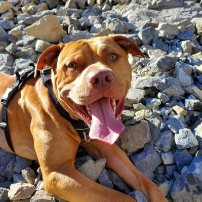 JustinBreault's profile picture. 