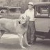 beasts of yore (@beastsofyore) Twitter profile photo beasts of yore (@beastsofyore) Twitter profile photo