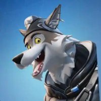 Dogwii(@Dogwii) 's Twitter Profile Photo