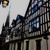 Shrewsbury(@TheBearSteps) 's Twitter Profile Photo