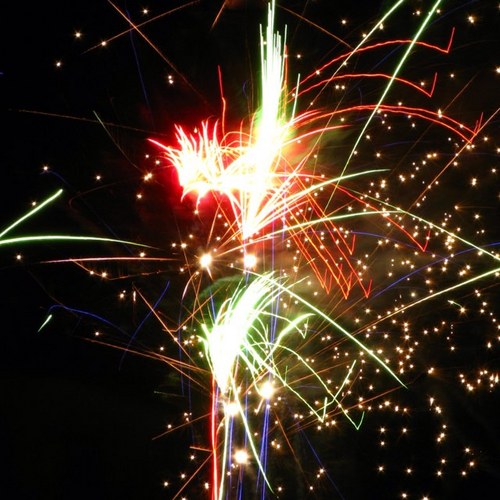 newjunkcity's profile picture. 