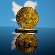 Jamesct__'s profile picture. Bullish on crypto