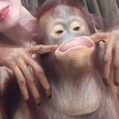 tM6djhXLqSonBNz's profile picture. 