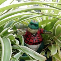 Marion Bergermann (@marionbmn) 's Twitter Profile Photo Marion Bergermann (@marionbmn) 's Twitter Profile Photo