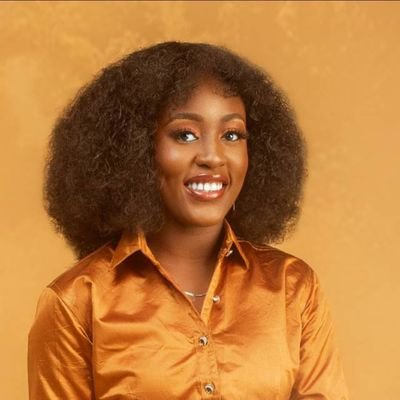 TemmyDev's profile picture. 👨‍💻 Backend Engineer | Passionate about Cloud Computing and Cyber Security | Building scalable solutions with C# and Go