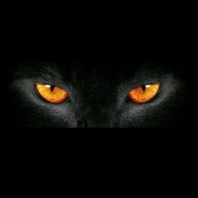 majane660718172's profile picture. God is gud al de tym