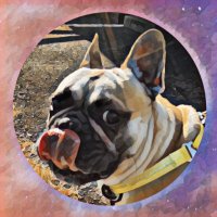 CHIELI (@chieli_maya) 's Twitter Profile