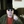 Joshua Jeffery (@Joshdeedeedee) profile picture