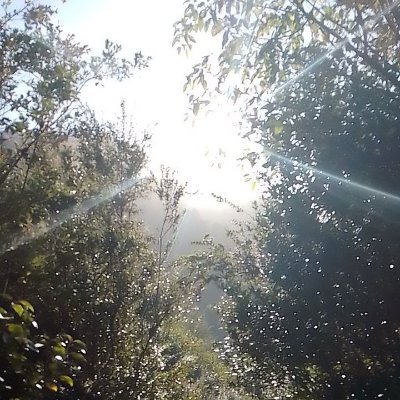 CUERVO LIBRE !!!
RíosLibres
Patagonia SIN Más Mineras
Soberanía Alimentaria y Energética
Internacionalicemos la Lucha
Internacinalicemos la Esperanza !!!