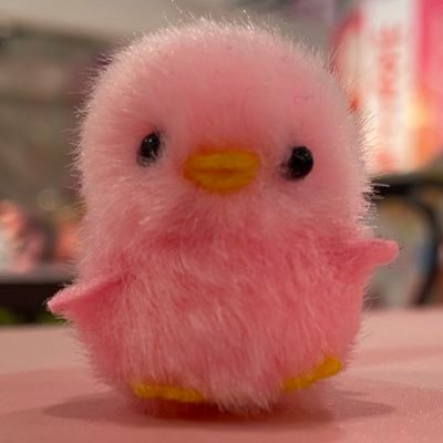 メインはラジオディレクターですが色々やってます。HC栃木日光アイスバックス/栃木SC /栃木ゴールデンブレーブスのゲームオペレーション.音響.照明.演出/縄文時代と古墳めぐりもします