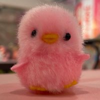 sugi405060 (@sugi40) 's Twitter Profile