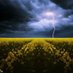 MeteoSolsona (@meteosolsona) Twitter profile photo MeteoSolsona (@meteosolsona) Twitter profile photo