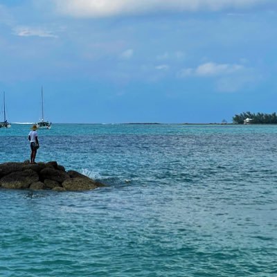 rastasaintwi's profile picture. 118🌱