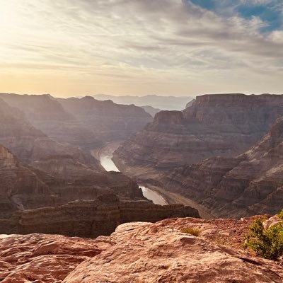 oicsacolyma's profile picture. 