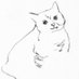 猫の手描きハンカチ工房　猫しちさん。 (@ChisanNeko74800) Twitter profile photo