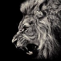 general huncho (@generalhuncho2) 's Twitter Profile
