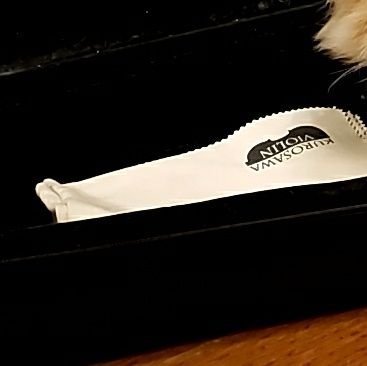 らいるさんのプロフィール画像