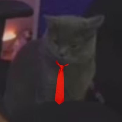 if you can dweam it you can do it !! ⛺
Se number one stinkekater auf Twitter & Eli's Mastkater👔
BACKUP➡️
@KrawattenDiego
⚔️Twitch VIP bei @Vitavatecaller ⚔️