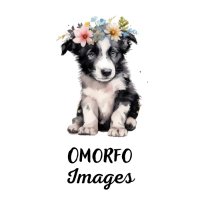 OmorfoImages(@PetImageDesigns) 's Twitter Profile Photo