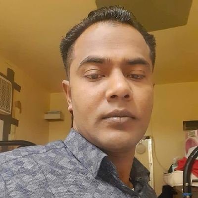 SeedifyNFTs's profile picture. 